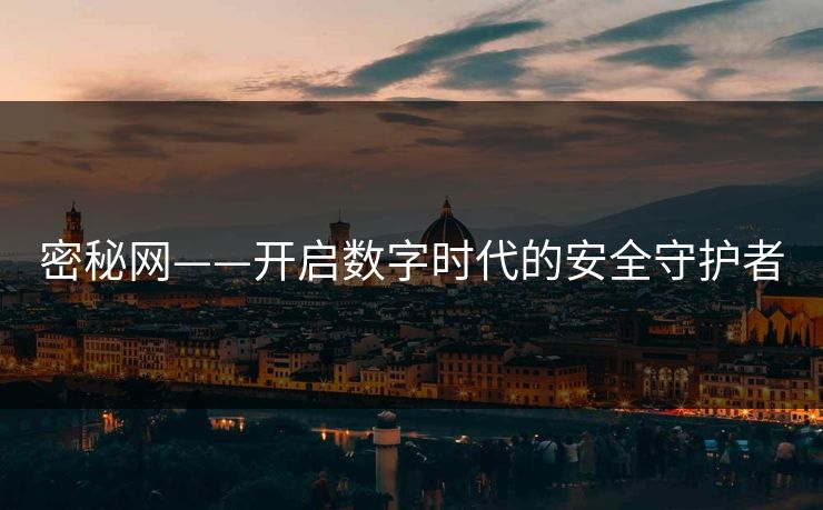 密秘网——开启数字时代的安全守护者