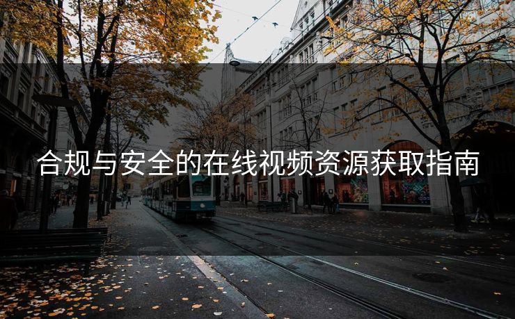 合规与安全的在线视频资源获取指南