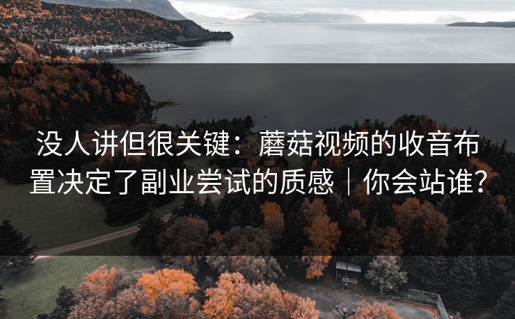 没人讲但很关键：蘑菇视频的收音布置决定了副业尝试的质感｜你会站谁？